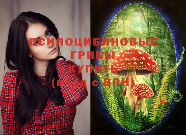 герыч Белокуриха